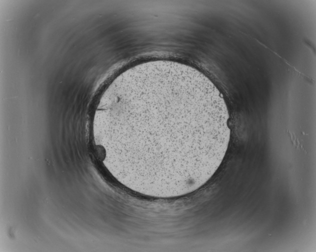 X0000102780016200809151113