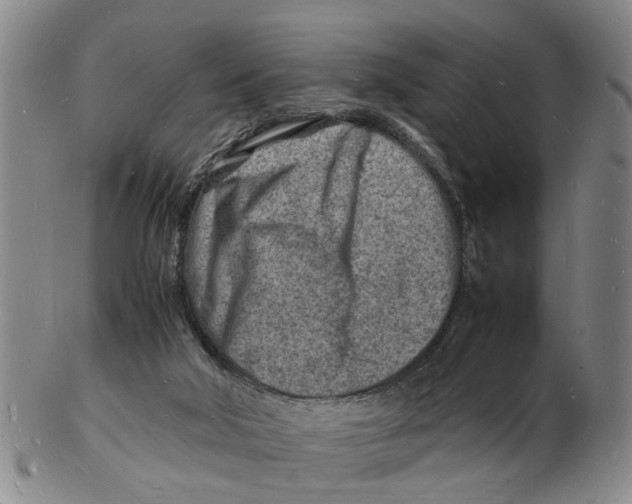 X0000102780018200809151113