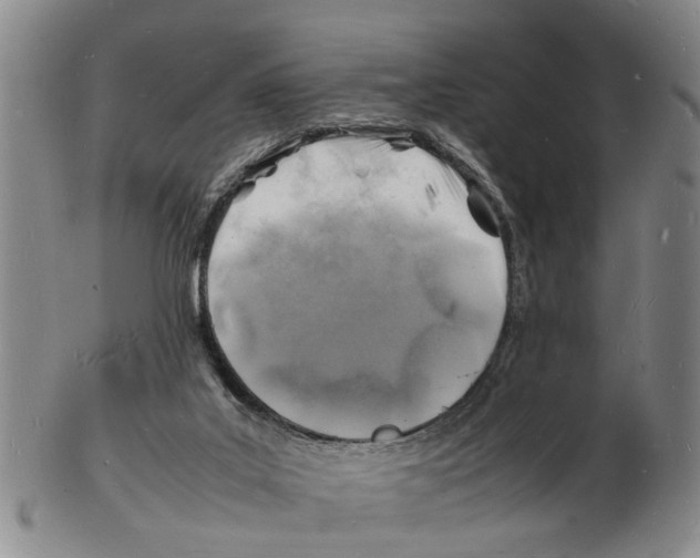 X0000102780019200809151113