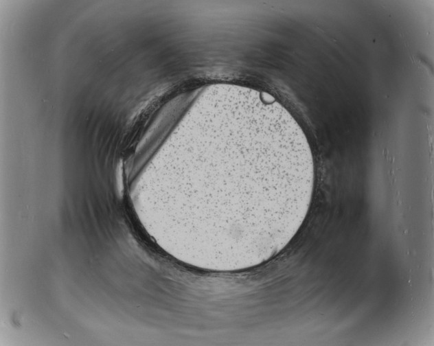 X0000102780020200809151113