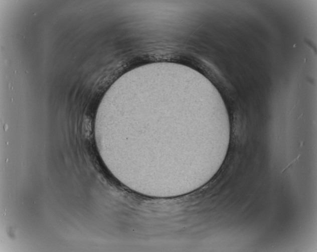 X0000102780025200809151113