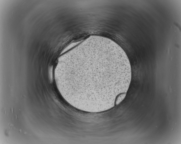 X0000102780028200809151113