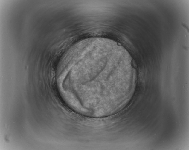 X0000102780029200809151113