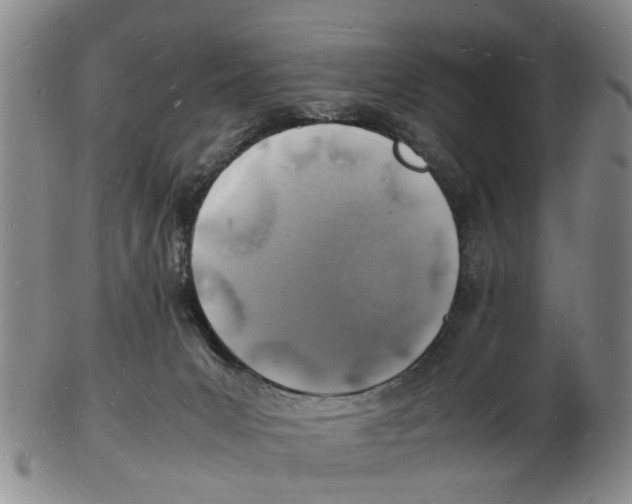 X0000102780031200809151113