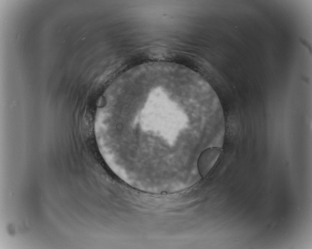 X0000102780043200809151112