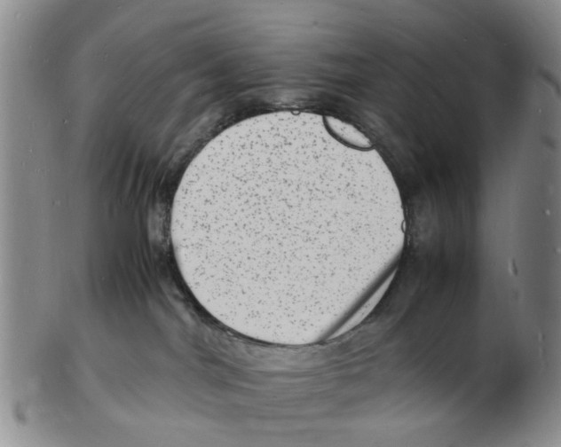 X0000102780044200809151112