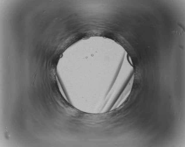 X0000102780045200809151112