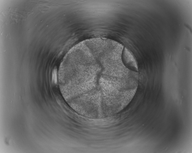 X0000102780046200809151112