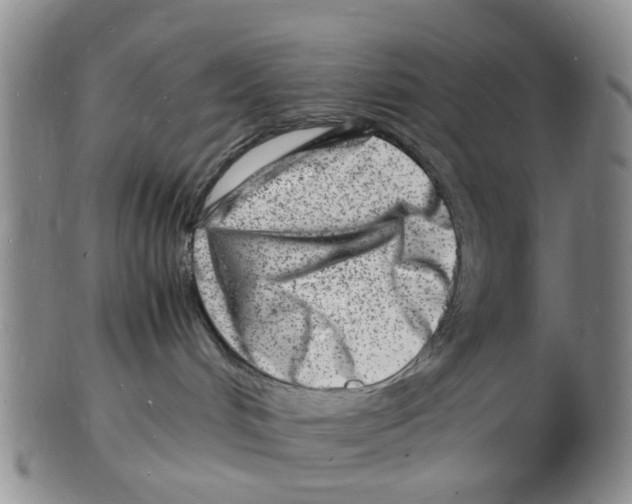 X0000102780048200809151112