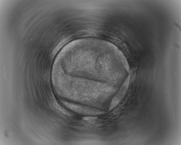 X0000102780051200809151112