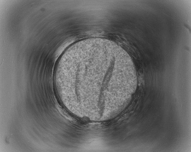 X0000102780052200809151112