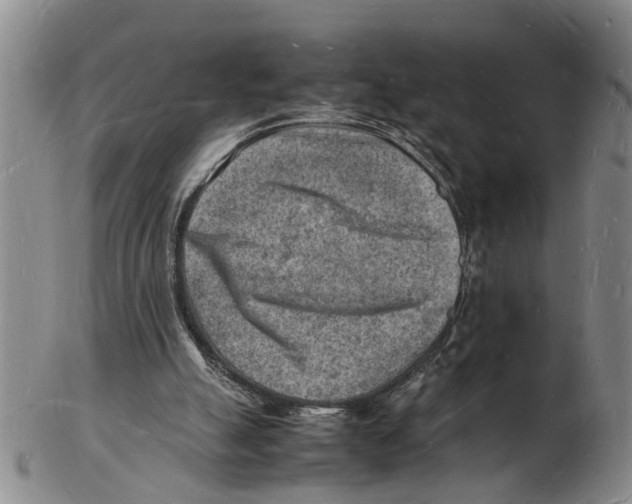 X0000102780055200809151112