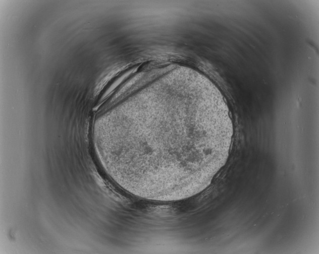 X0000102780058200809151112