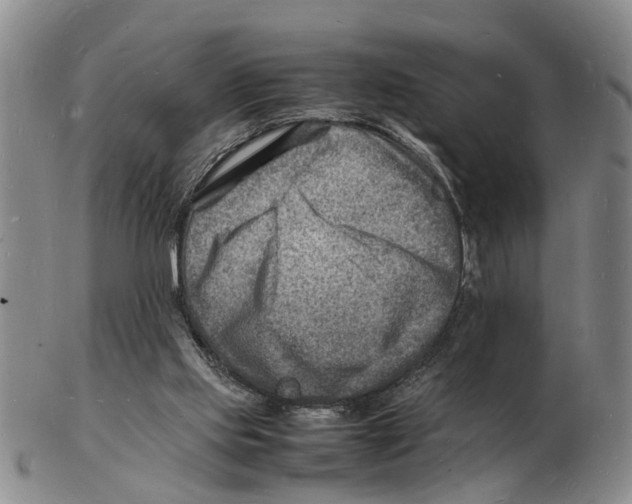 X0000102780061200809151112