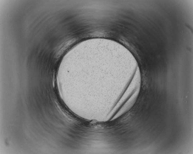 X0000102780062200809151112