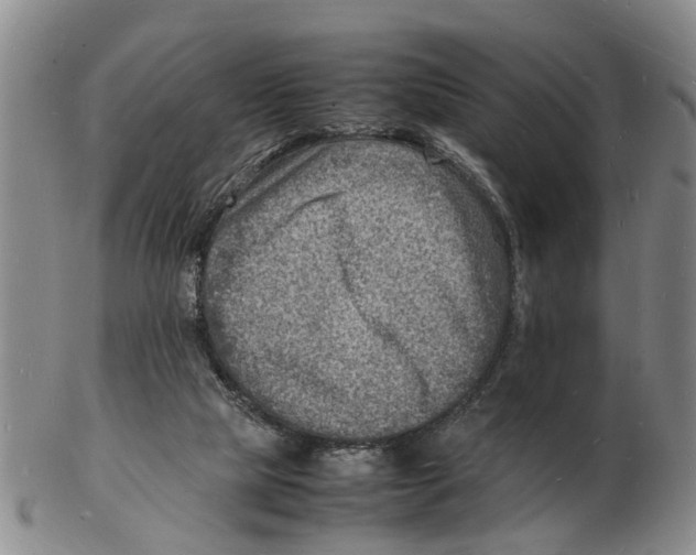 X0000102780065200809151112