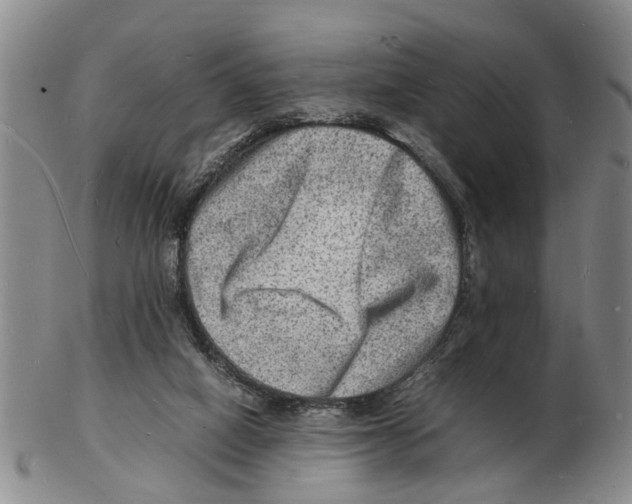 X0000102780066200809151112