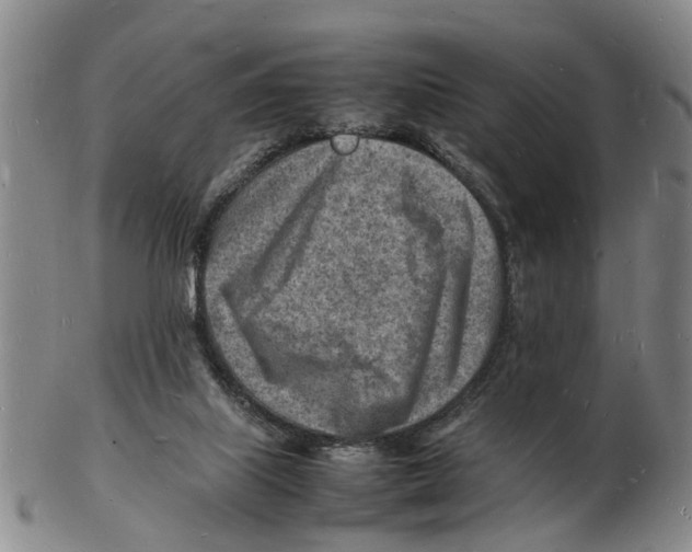 X0000102780067200809151112