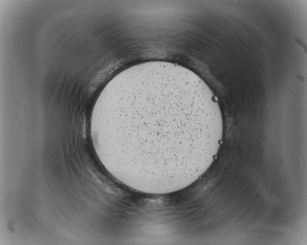 X0000102780068200809151112