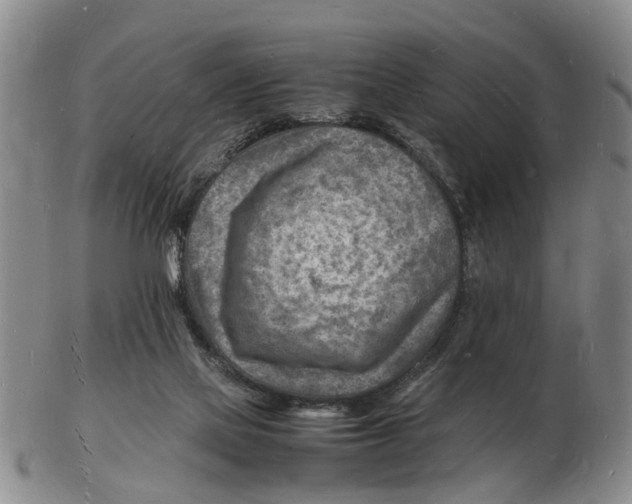 X0000102780069200809151112