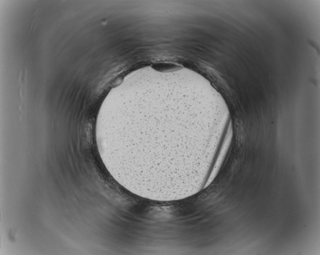 X0000102780071200809151112