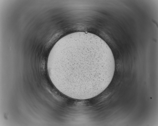 X0000102780072200809151112