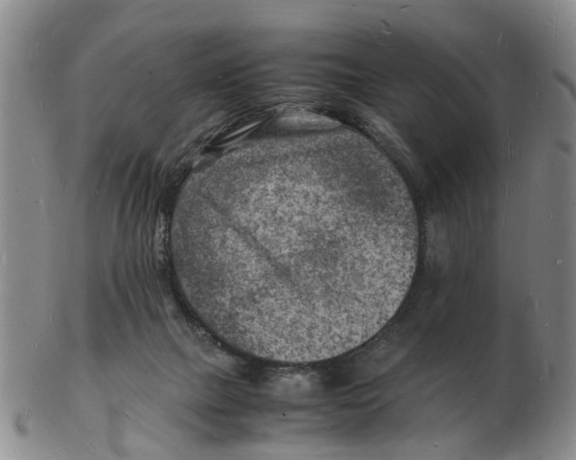 X0000102780073200809151112