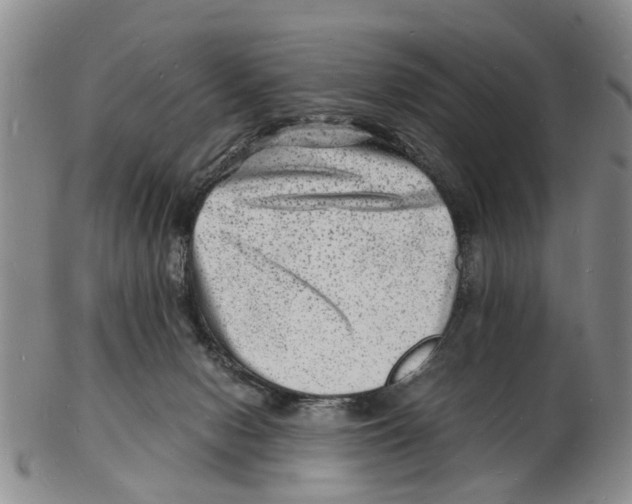 X0000102780078200809151112