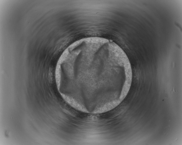 X0000102780080200809151112