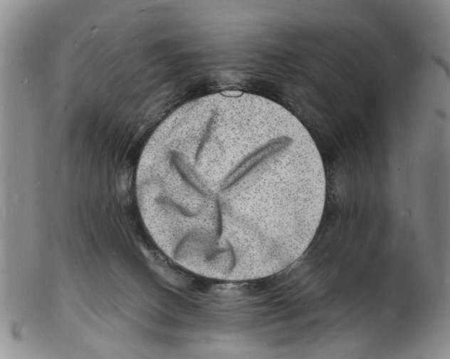 X0000102780082200809151112