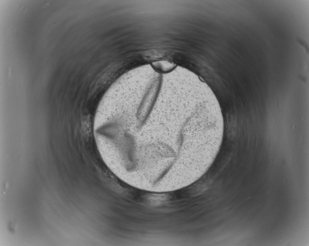 X0000102780085200809151112