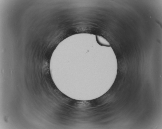 X0000102780087200809151112