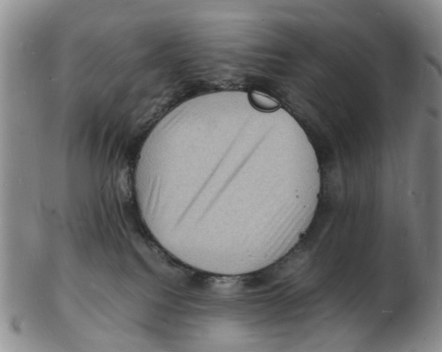 X0000102780088200809151112