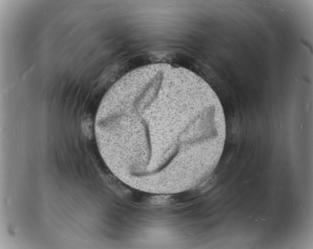 X0000102780090200809151112