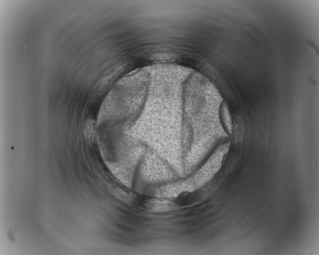 X0000102780093200809151112