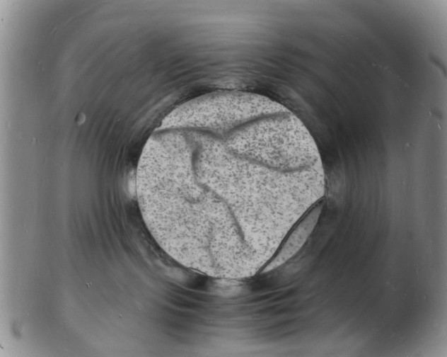 X0000102780095200809151112