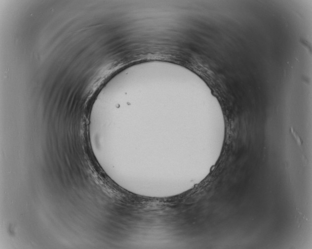 X0000102780098200809151112