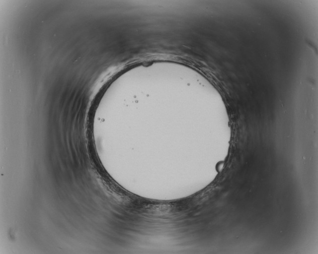 X0000102780104200809151112