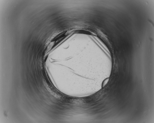 X0000102780106200809151111