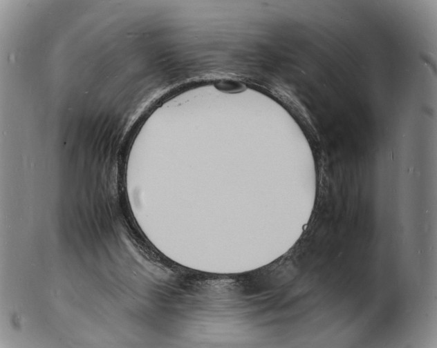 X0000102780108200809151111