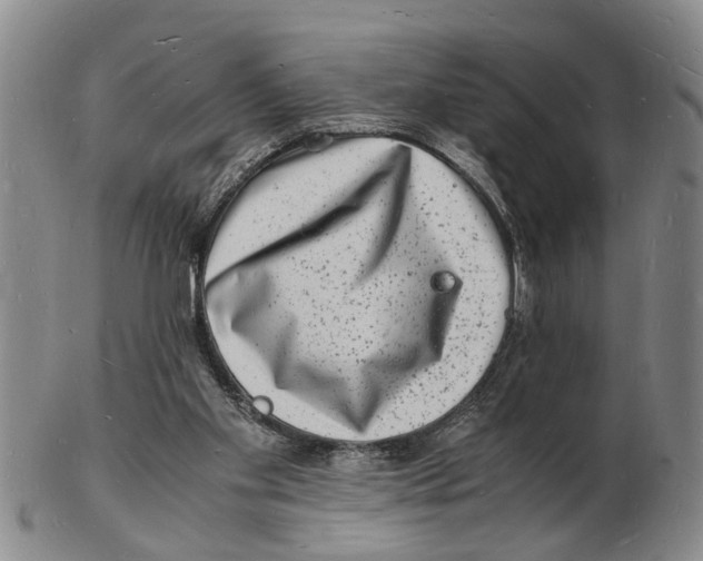 X0000102780109200809151111