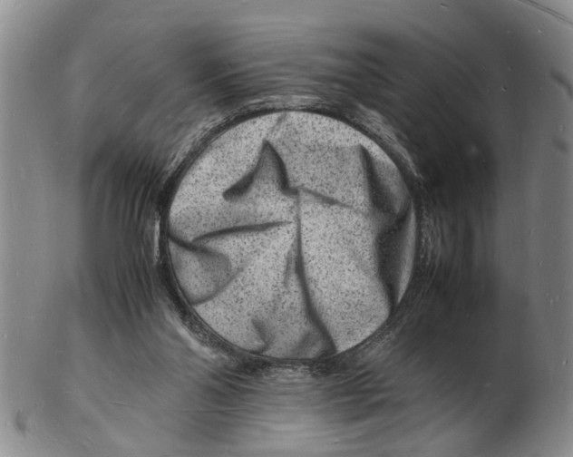 X0000102780110200809151111