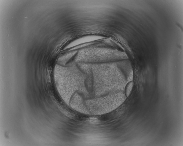 X0000102780114200809151111