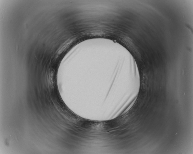 X0000102780116200809151111