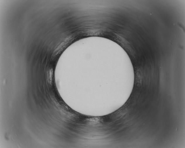 X0000102780118200809151111