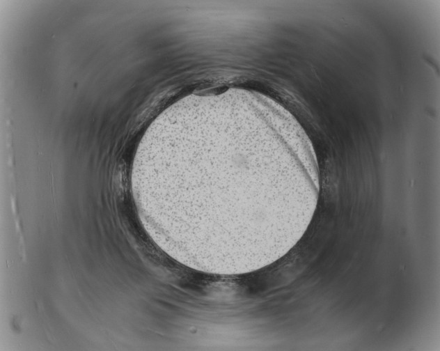 X0000102780119200809151111