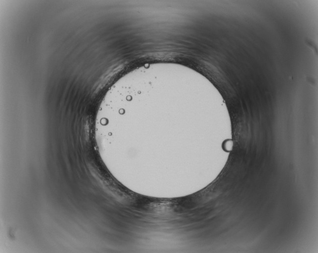 X0000102780120200809151111