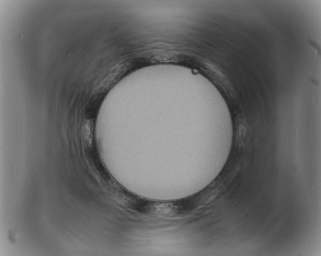 X0000102780121200809151111