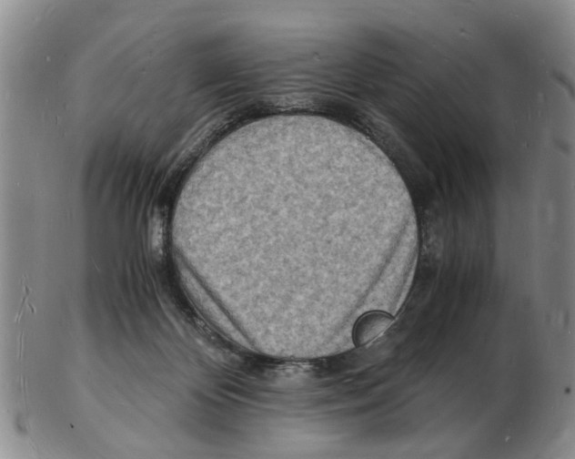 X0000102780124200809151111