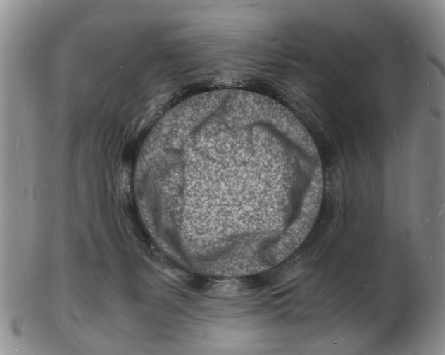 X0000102780127200809151111